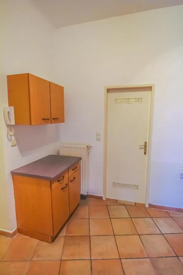 Family 3 Bedroom Apartment Lv7 Vídeň Rakousko